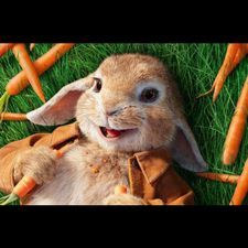 Profile image of Hase5961