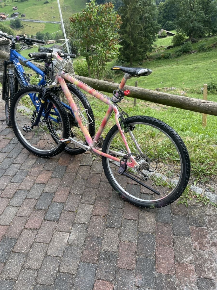 Biciclette: 2  kindervelos – Usato da Burglauenen venduto da arno12 2