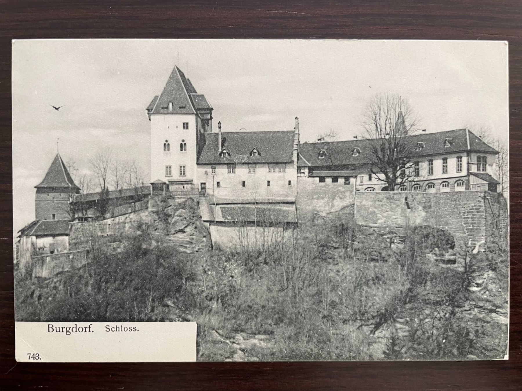 Cartoline postali: BURGDORF Schloss, ungelaufen – Usato da Wald ZH venduto da TLILEF