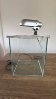 Aquarium klein mit Lampe
