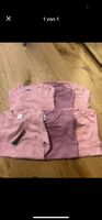 Langarmbodys 5er Pack Rosa Lila Grösse 98/104 NEU
