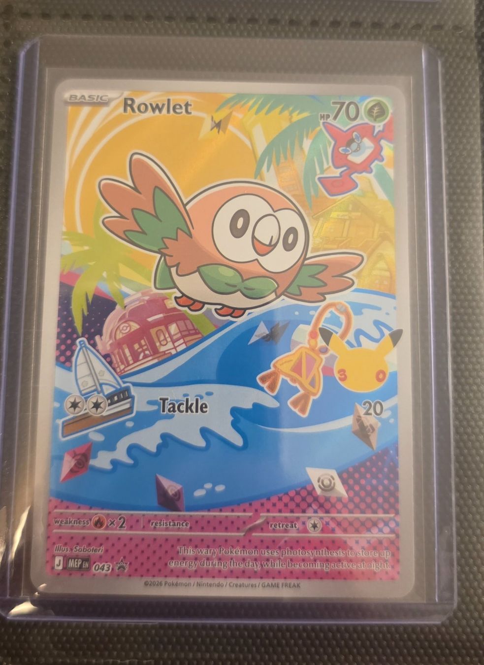 Pokémon Carte collezionabili: Pokemon -  First Partner Serie 1 / EN – Nuovo (secondo la descrizione) da Kreuzlingen venduto da Room_Shambles 3