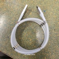 Câble USB C Magnétique, Aimants Forts
