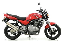 Kawasaki ER-5,ideales für Anfänger,Top Zustand! 🆎️MFK 2025