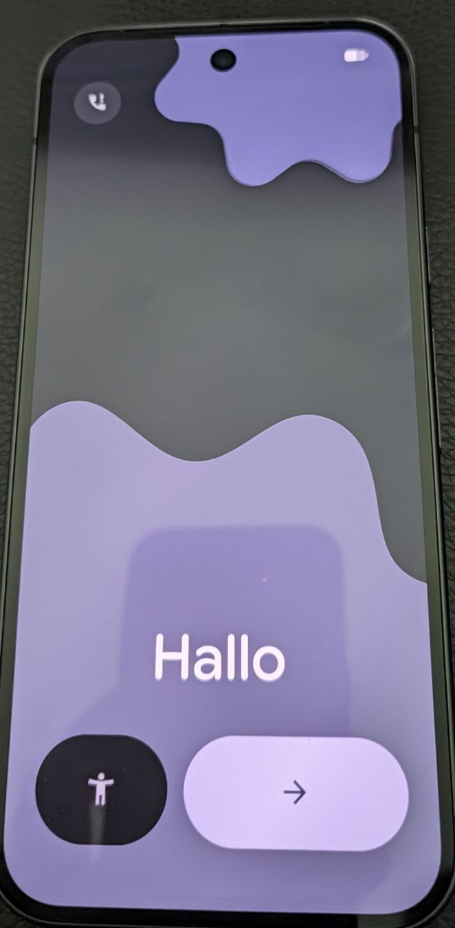 Google Portables: Pixel 9 - 128GB - PICKUP ONLY – D'occasion à Zug par skl_mpp8