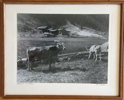 Vintage S. Berni, signiert, Landwirtschaft, bei Klosters