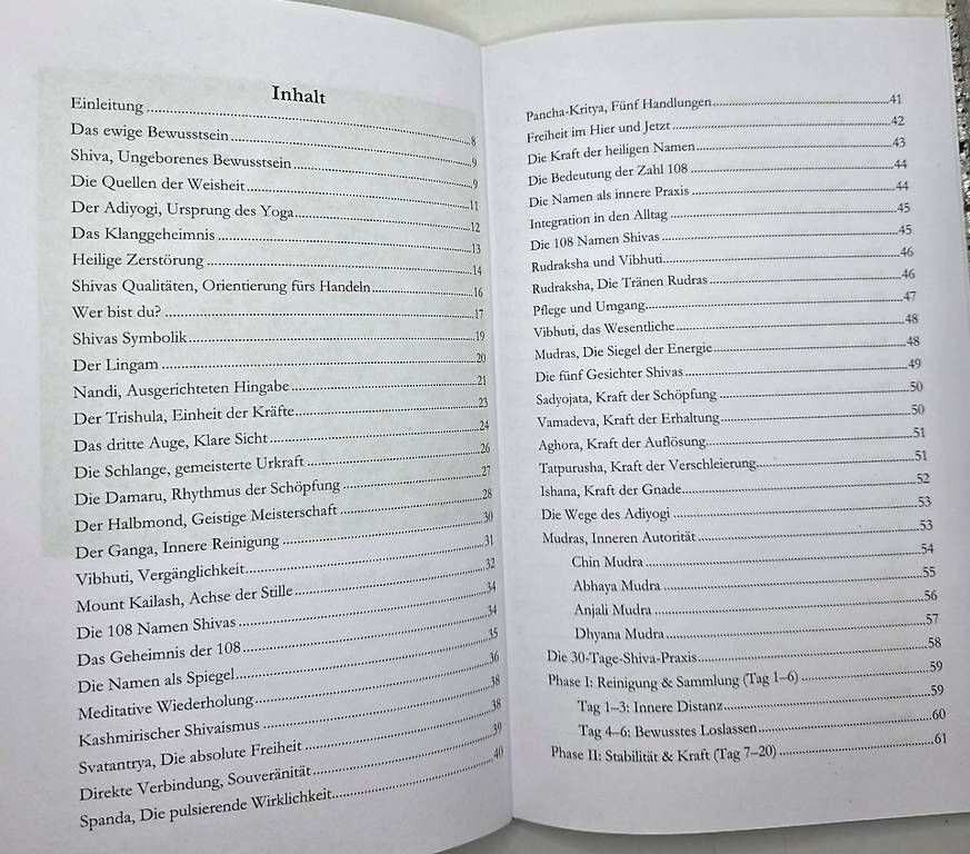 Libri: Shiva  Das formlose Bewusstsein / Taschenbuch – Nuovo e nell'imballaggio originale da Basel venduto da Shankar 2