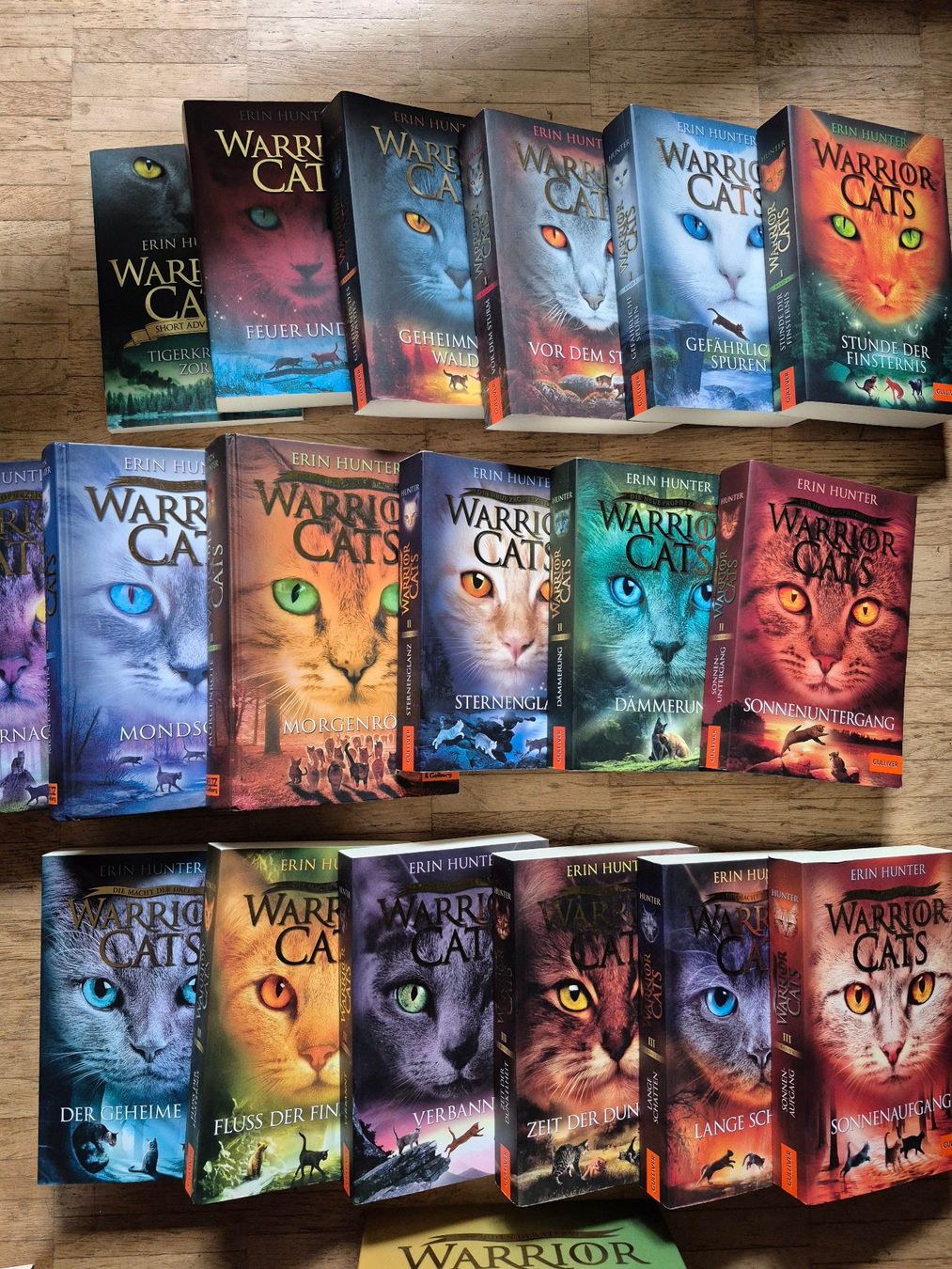 Libri: WARRIOR CATS (STAFFEL 1-6) – Usato da Zürich venduto da Fatpat 2