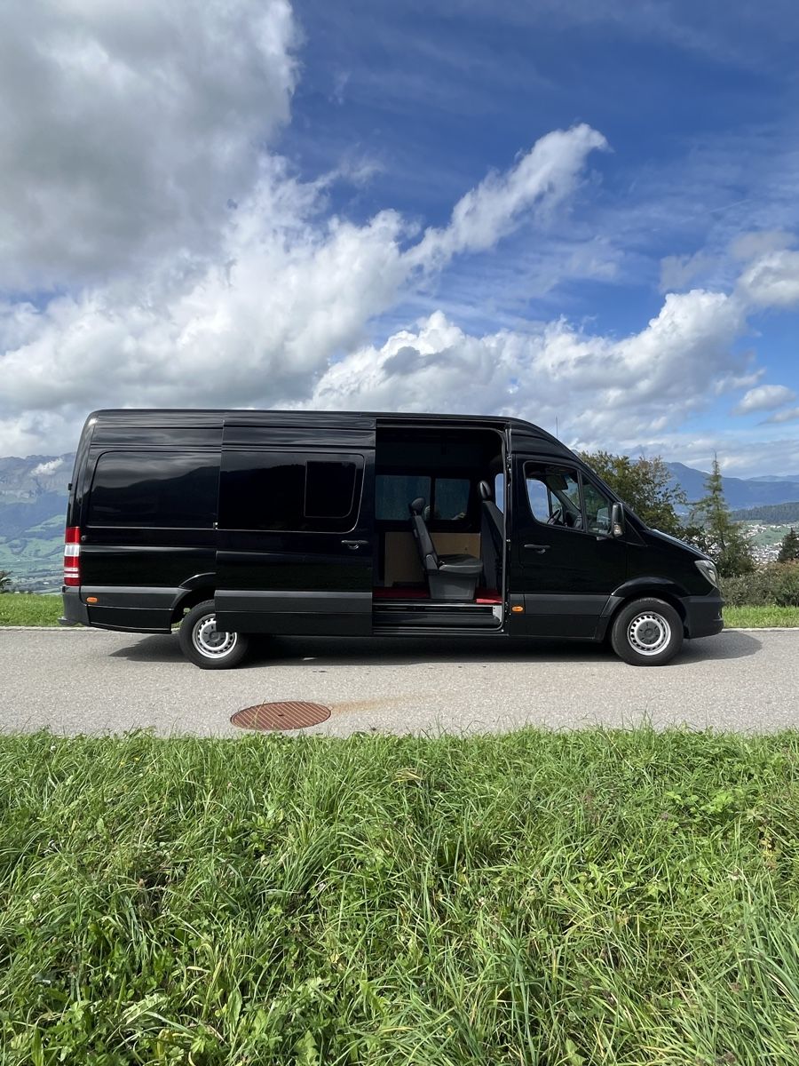 Mercedes-Benz Veicoli commerciali: Mercedes Sprinter 316 CDI Lang – Usato da Vaduz venduto da Wodanerik 3
