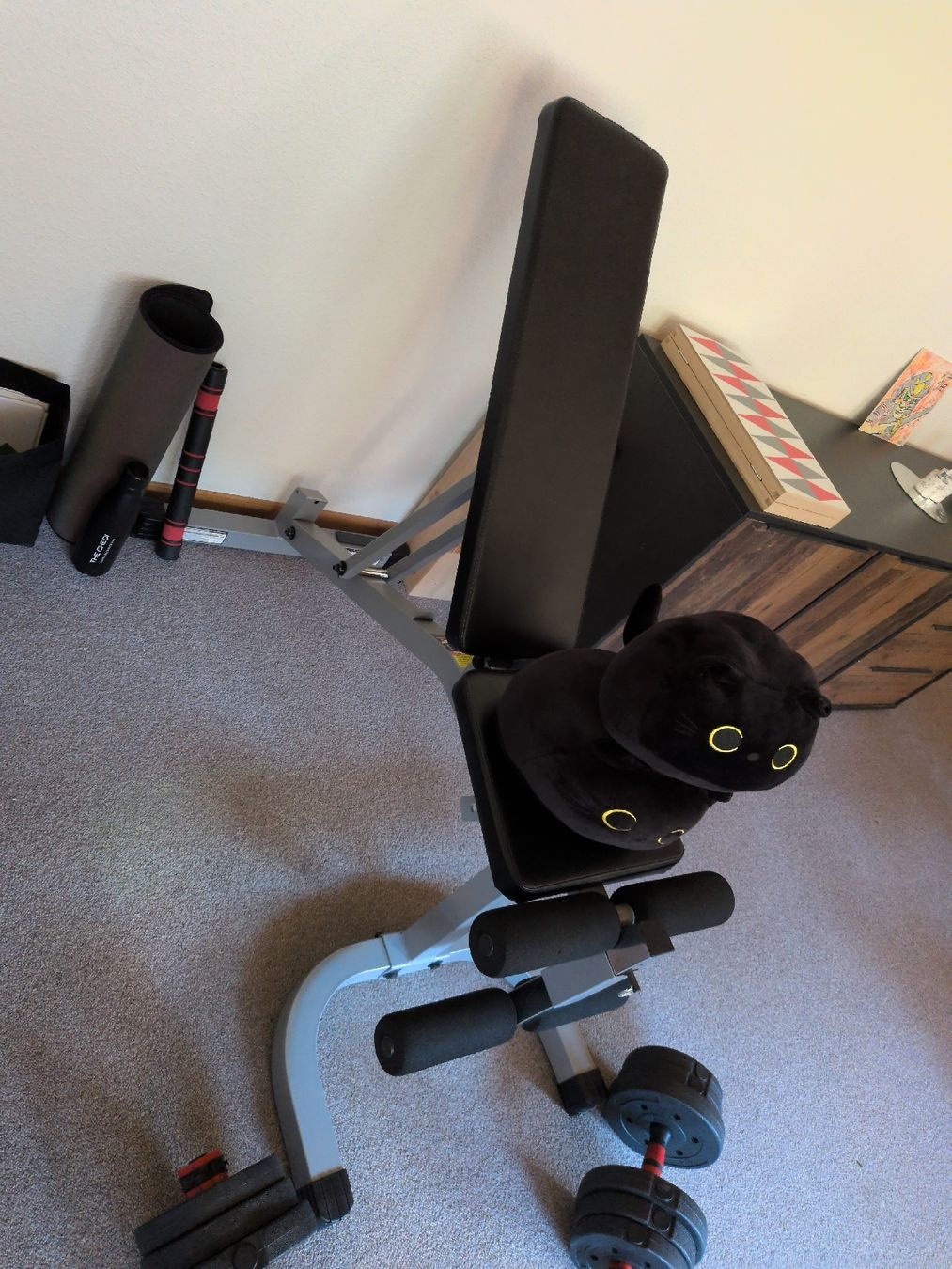 Hometrainer: Weight bench with adjustable dumbbells and ab roller – Gebraucht aus Andermatt von Jony.Finity 1