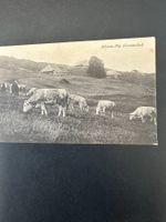Schinenalp bei Trub, 1910er-Jahre