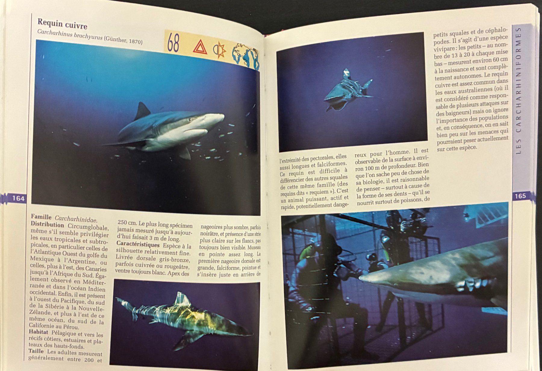 Libri: Requins du monde – Usato da Moutier venduto da lebadin 5