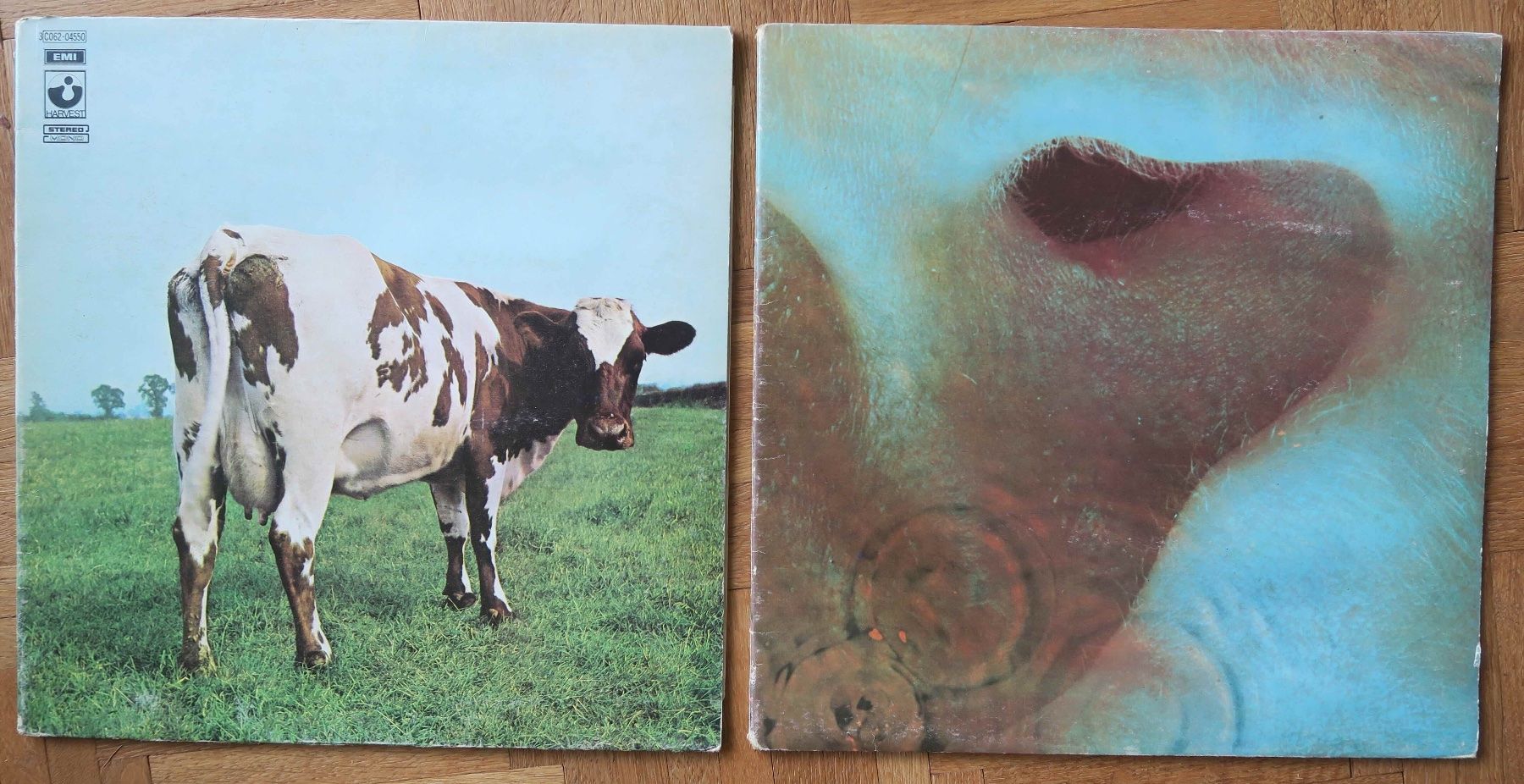 Dischi in vinile: Pink Floyd – Usato da Stettlen venduto da WalterundWalter11