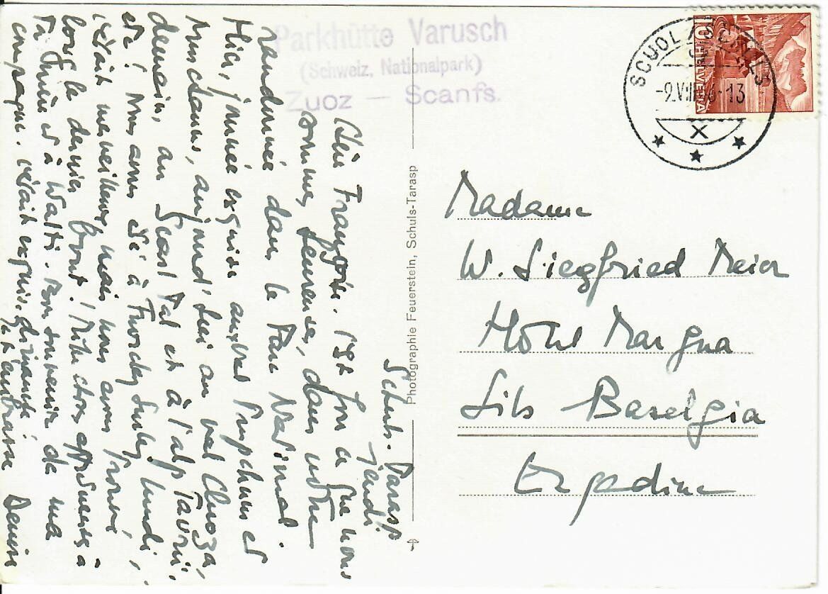 Cartoline postali: Parkhütte Varusch - CH Nationalpark – Usato da Hochdorf venduto da Ziegel-16 1