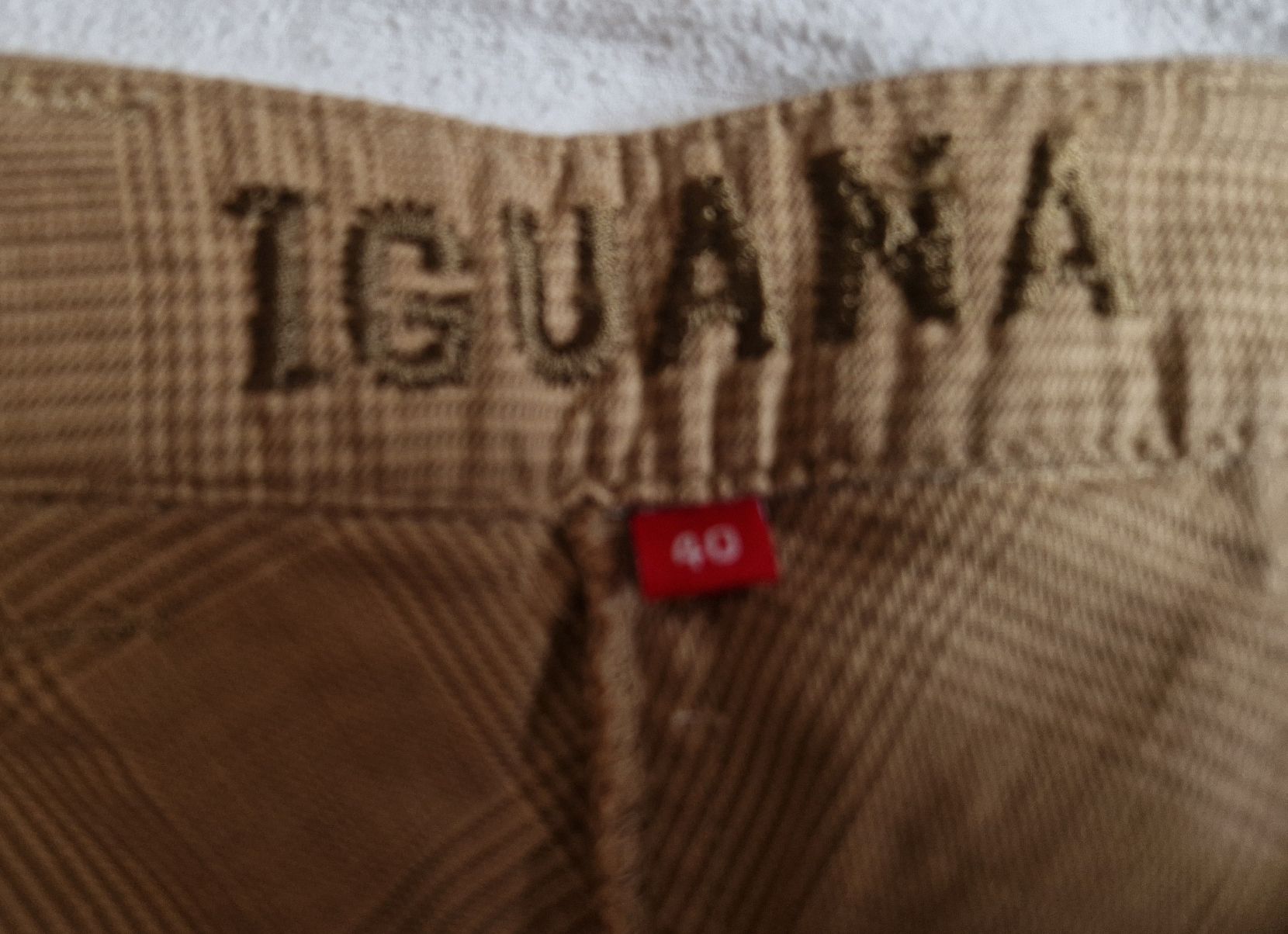 Pantaloni: lguana Hose, Gr. 40 – Usato da Muri b. Bern venduto da mlu_vgj7 3