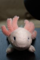 Peluche Axolotl de l'aquarium de Barcelone