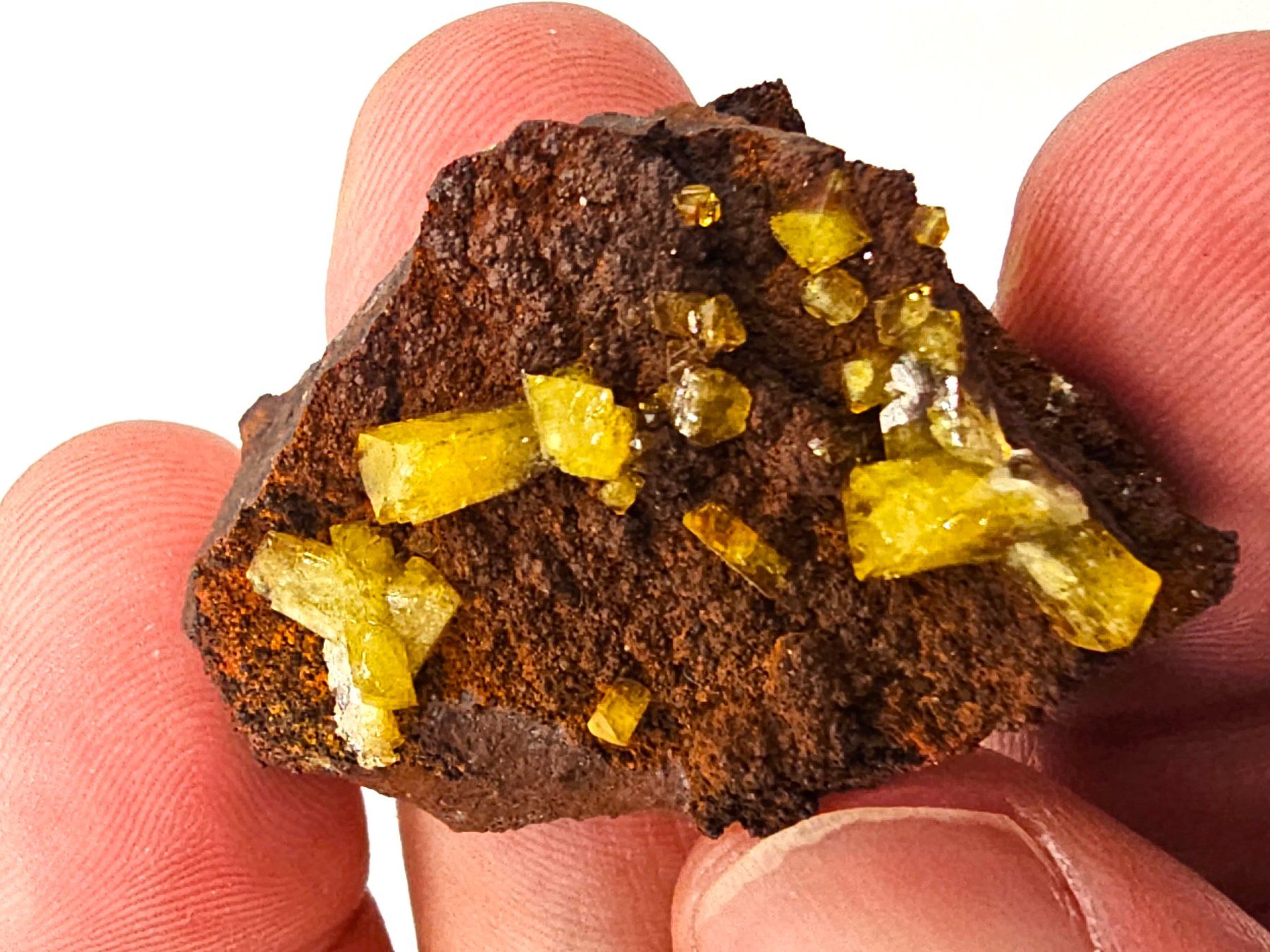 Minerali & Pietre curative: Adamite - Ojuela Mine, Mapimi, Durango, Mexico – Usato da Figino venduto da minshop 5