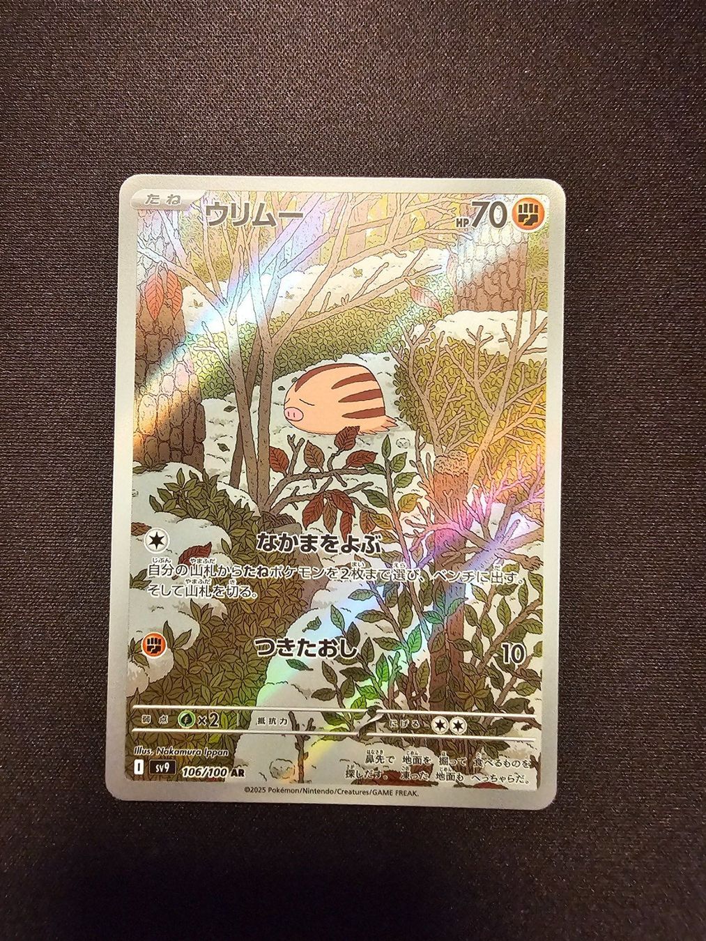 Pokémon Sammelbilder & Trading cards: Swinub JP 106/100 – Gebraucht aus Lufingen von Argannon