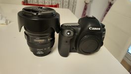 canon 5d mark iv  nur 21138 schuter count  privat benutzen