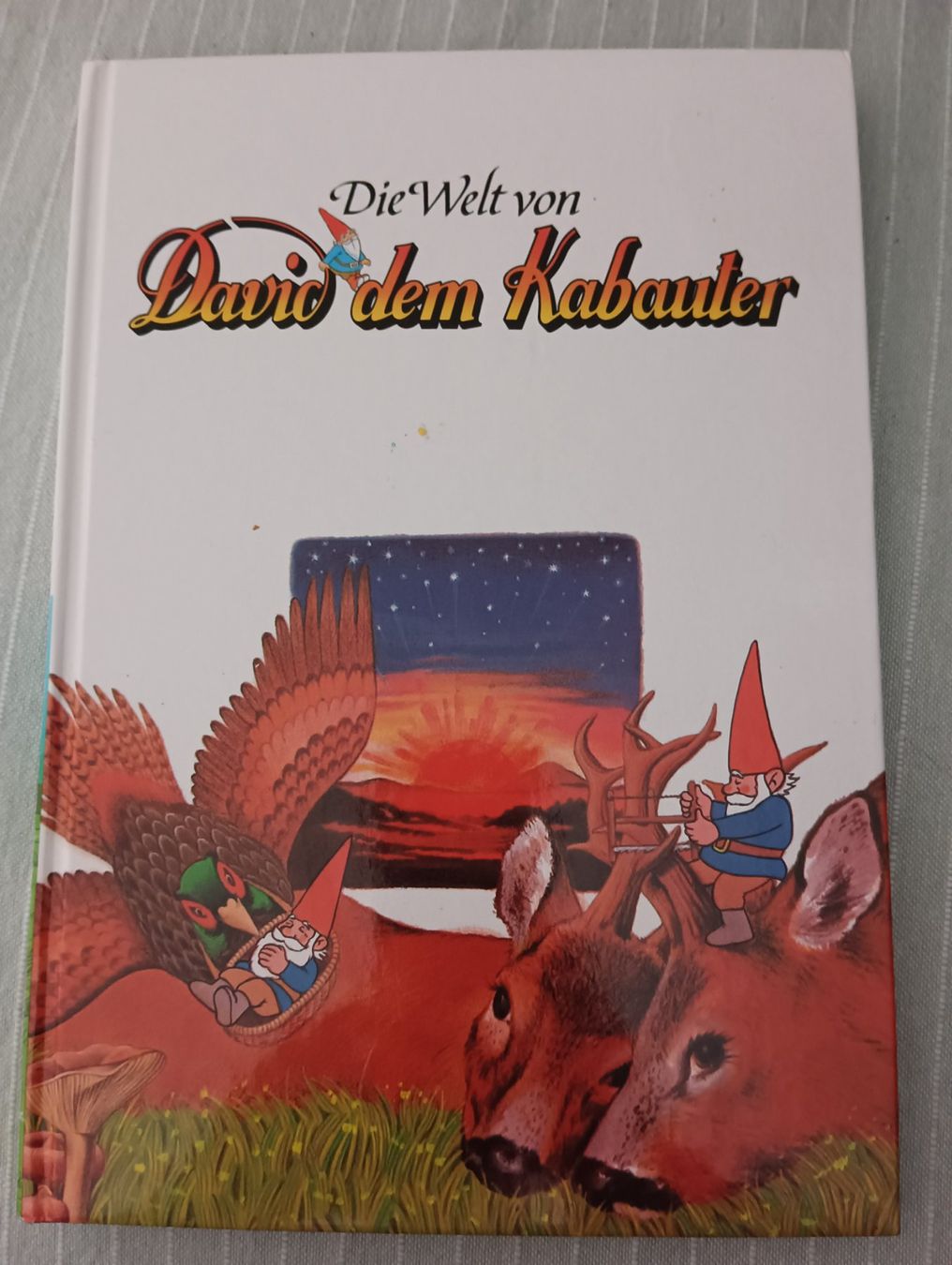 Libri: Die Welt von David dem Kabauter / Buch – Usato da Schöfflisdorf venduto da kin_2dp9