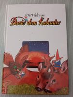 Die Welt von David dem Kabauter / Buch