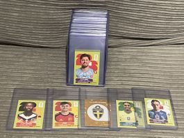 Panini