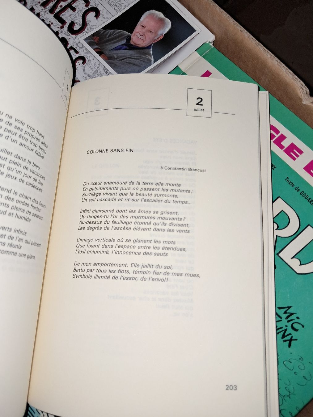 Libri: Ciels mêlés - 366 poèmes pour une année entière – Usato da Le locle venduto da juliensaran 2