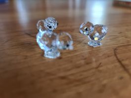 Swarovski Figur Mini Hühner Originalverpackt 