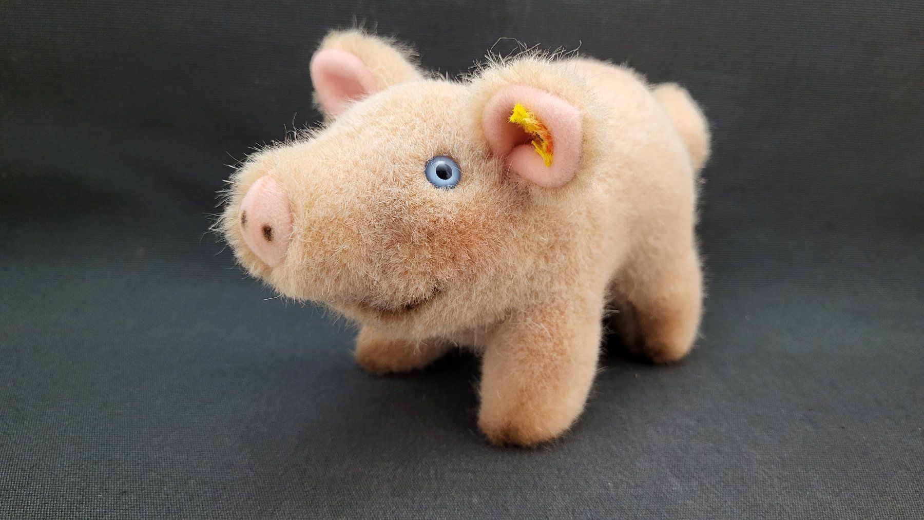 Steiff Giocattoli: STEIFF Schweinchen – Usato da Basel venduto da spinne02