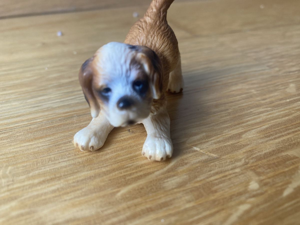 Schleich Figuren: Schleich Tier Model set – Neu (gemäss Beschreibung) aus sion von orchikorchik 6