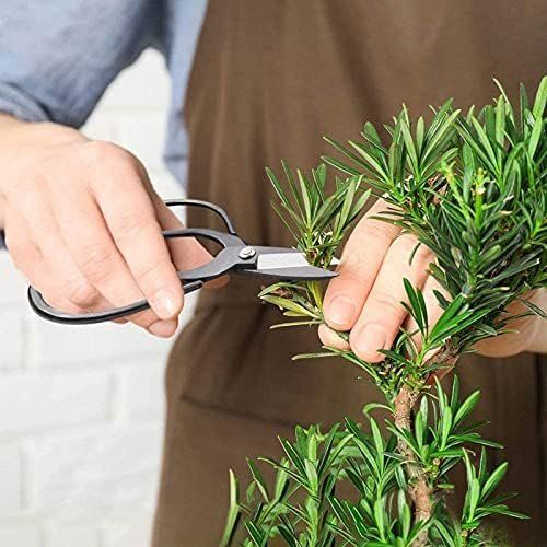 Tutti gli attrezzi: Bonsai Werkzeugset – Nuovo e nell'imballaggio originale da Hundwil venduto da Stallone5 7