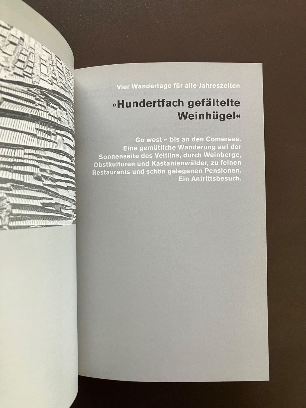 Bücher: Bauer_Frischknecht: Wanderführer Veltlin – Gebraucht aus Menziken von timbuktu1001 2