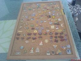 grosse Pinwand m. vielen Blick Chäferlis