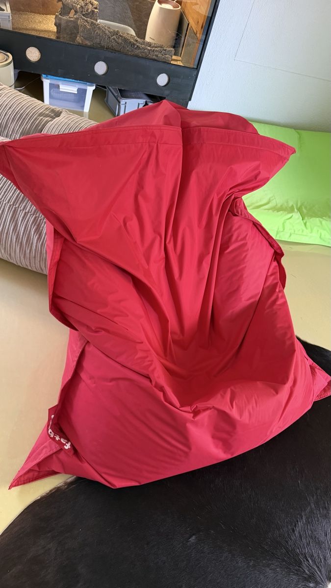 Fatboy Cuscini: fatboy sitzsack rot – Usato da Kirchberg BE venduto da pimposchinder 2