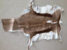 Springbock-Fell 115 x 65 cm