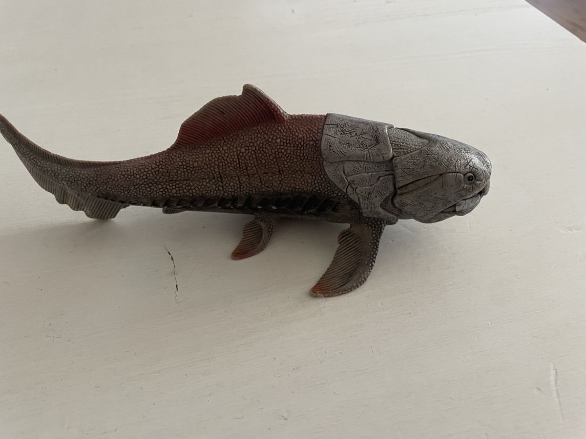 Schleich Giocattoli: Schleichdinosaurier dunkleosteus – Usato da Neuenkirch venduto da TobiasK03 1