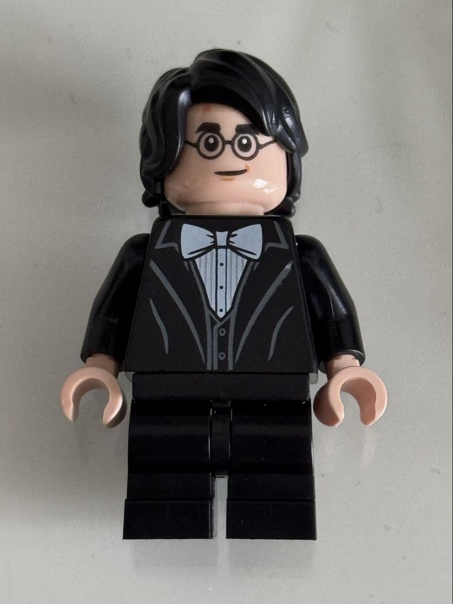 Lego Statuette: Lego Figur Harry Potter – Nuovo (secondo la descrizione) da Windisch venduto da _pascal_st_