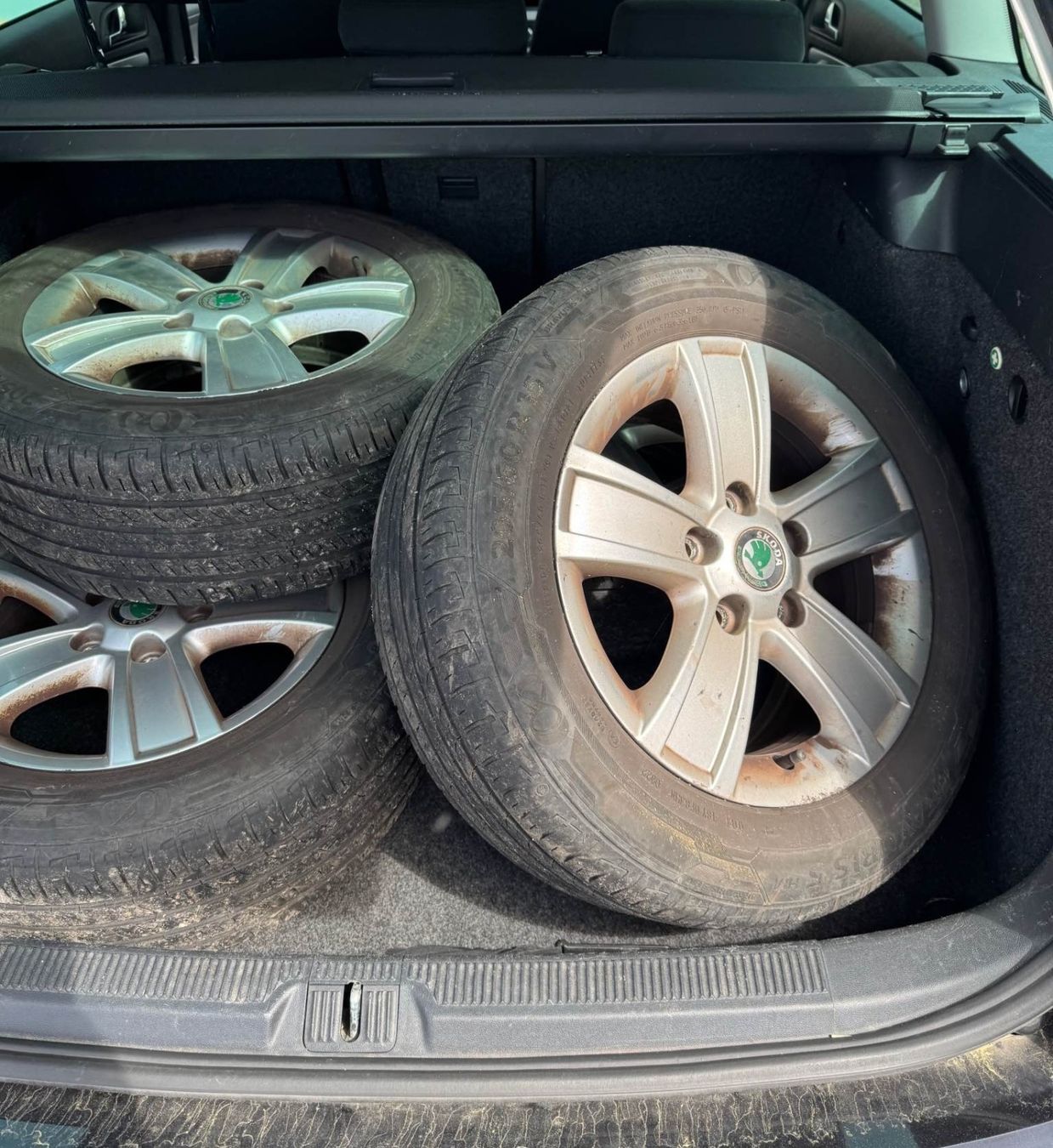 Skoda Autos: Skoda octavia – Gebraucht aus Oftringen von holsdir.... 2