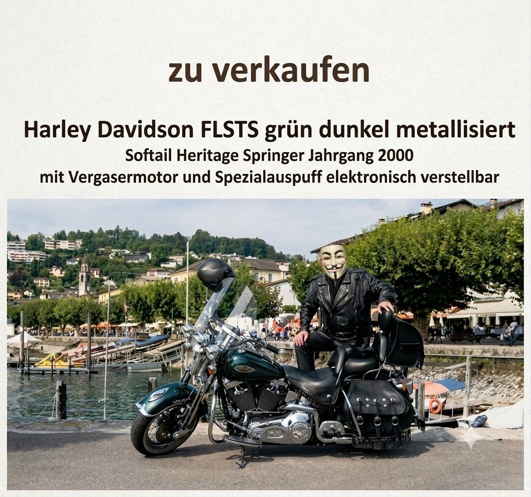 Harley-Davidson Cruisers: Harley-Davidson FLSTS – D'occasion à Kreuzlingen par 123peter
