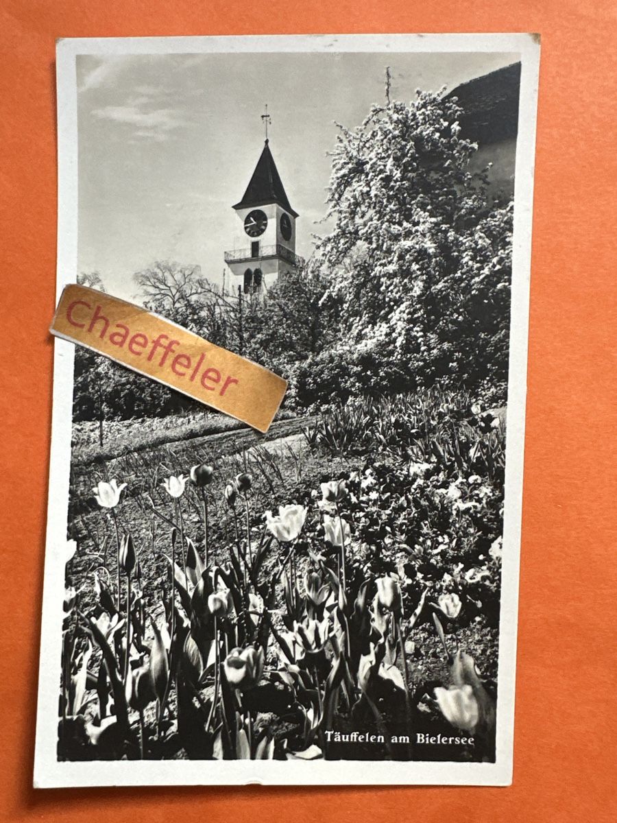 Cartoline postali: 1934 Täuffelen am Bielersee.  – Usato da Zürich venduto da Chaeffeler