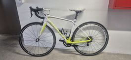 Scott Contessa Damen Rennrad weiss gelb Grösse