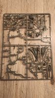 1x sprue Neferata AoS Soulblight Gravelords AoS