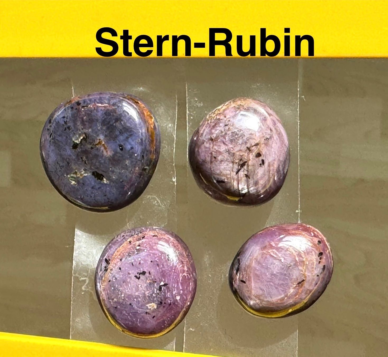 Pietre preziose: Stern Rubin 4Stk   wunderschön ECHT – Nuovo e nell'imballaggio originale da Leuggern venduto da gemshow 2