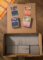 Pokemon ASC Bulk, Holos, Reverse Deutsch