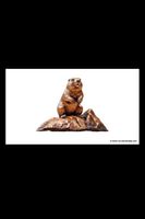 Swiss Crypto Stamp 4 ID4 Bronze