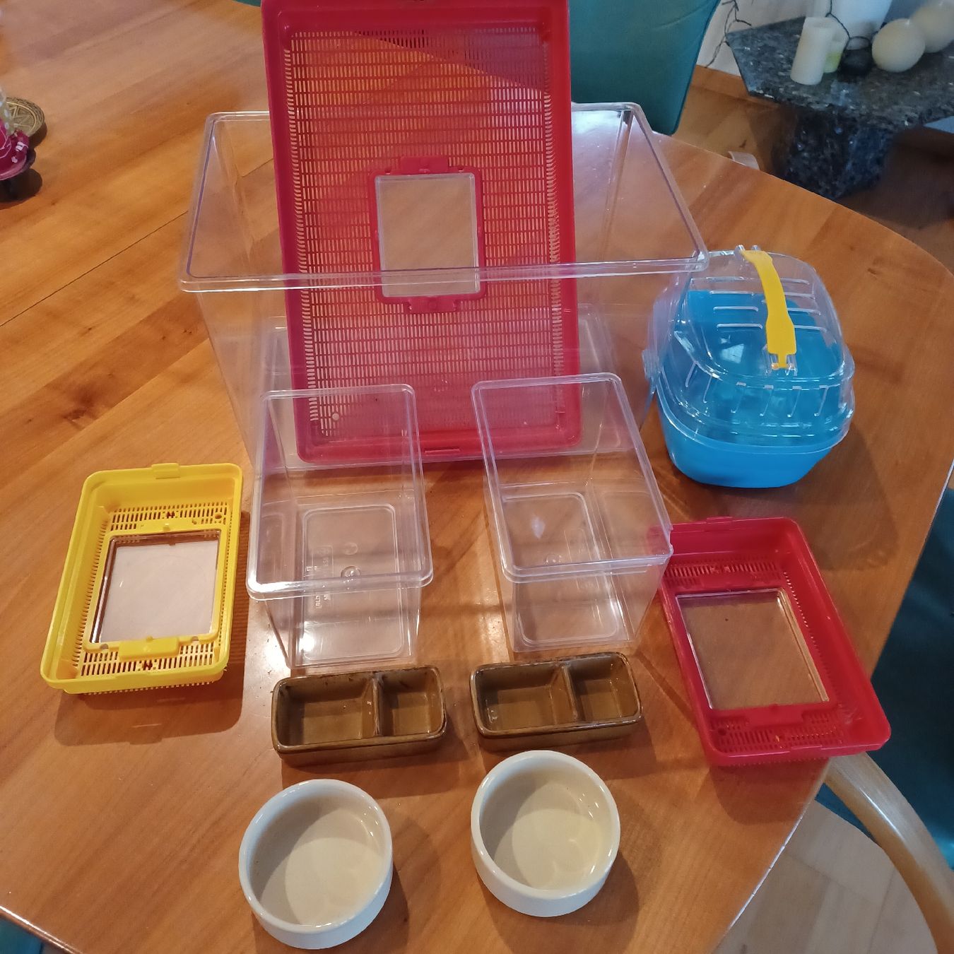 Terrariums: Terrarium , Hamsterkäfig, Transportbox – D'occasion à Waldkirch par Fantasia-101