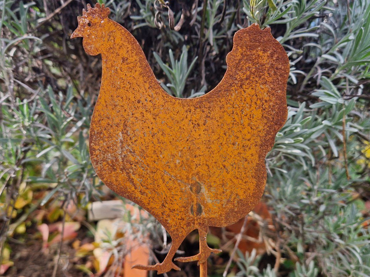 Tutte le decorazioni: Hahn & Henne Rost 60cm – Nuovo e nell'imballaggio originale da Matzendorf venduto da Gartendeko-Shop 1