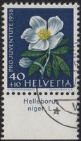 40 Rp. Christrose mit TAB (Helleborus niger L.)