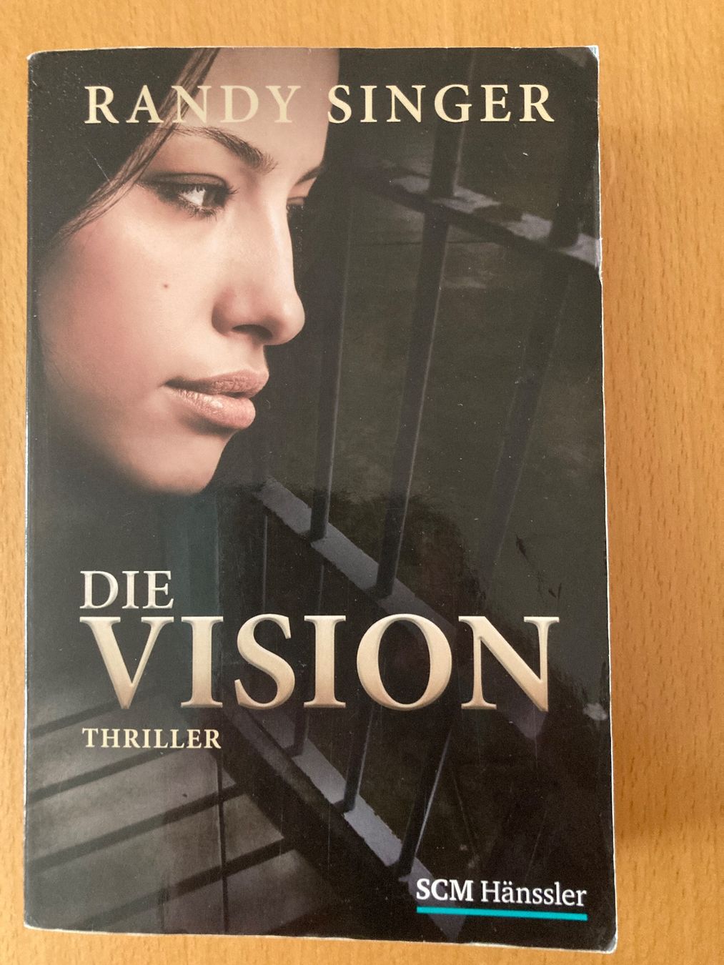 Libri: Christlicher Thriller "Die Vision" von Randy Singer! – Usato da Gelterkinden venduto da froggy80