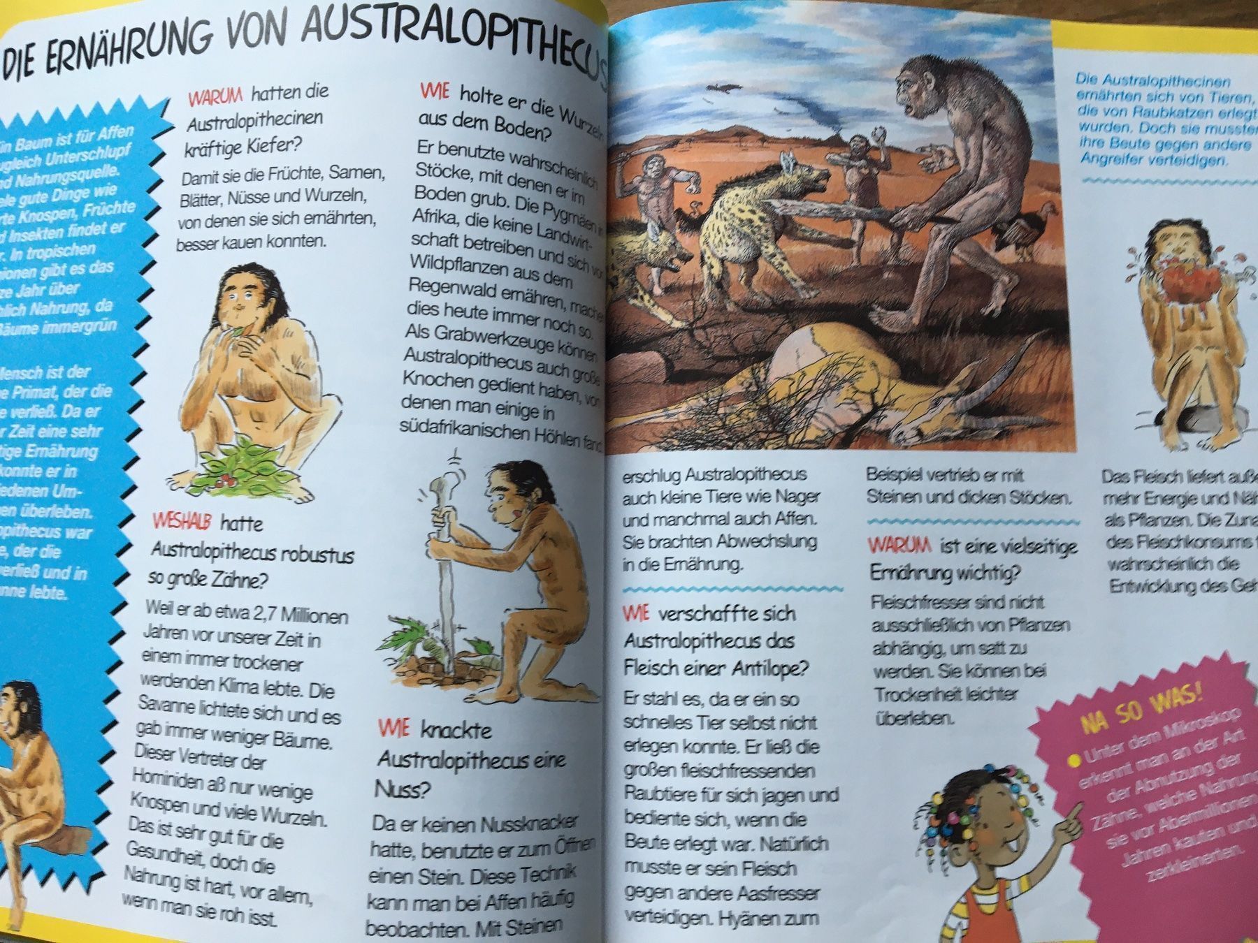 Libri: Vorgeschichten – Usato da Arth venduto da Vrecam51 2